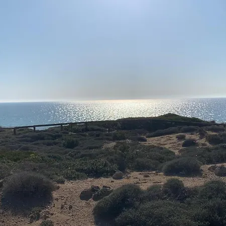 Ad Maiora Torre Ovo